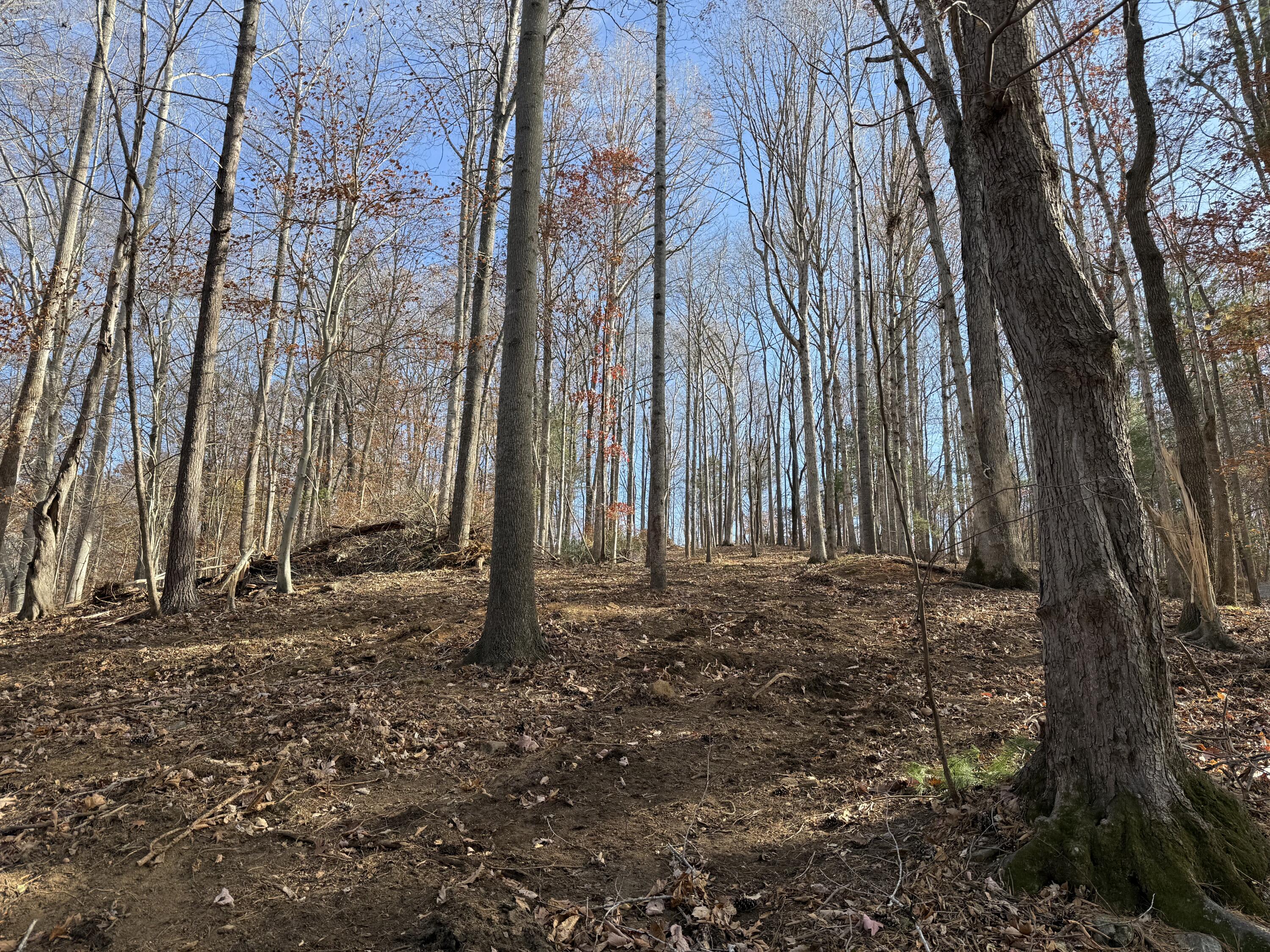 Lot 9 Tiki Terrace Goodview, VA 24095 - Photo 25 of 44 a backyard of a house with lots of green space