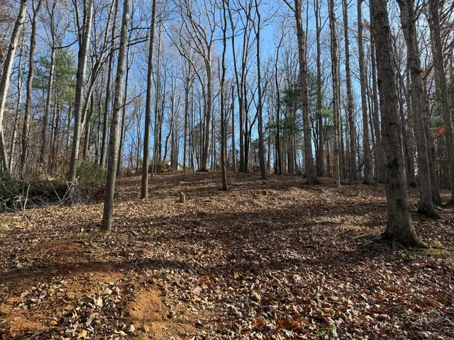 $150,000 | Lot 9 Tiki Terrace, Goodview, VA 24095