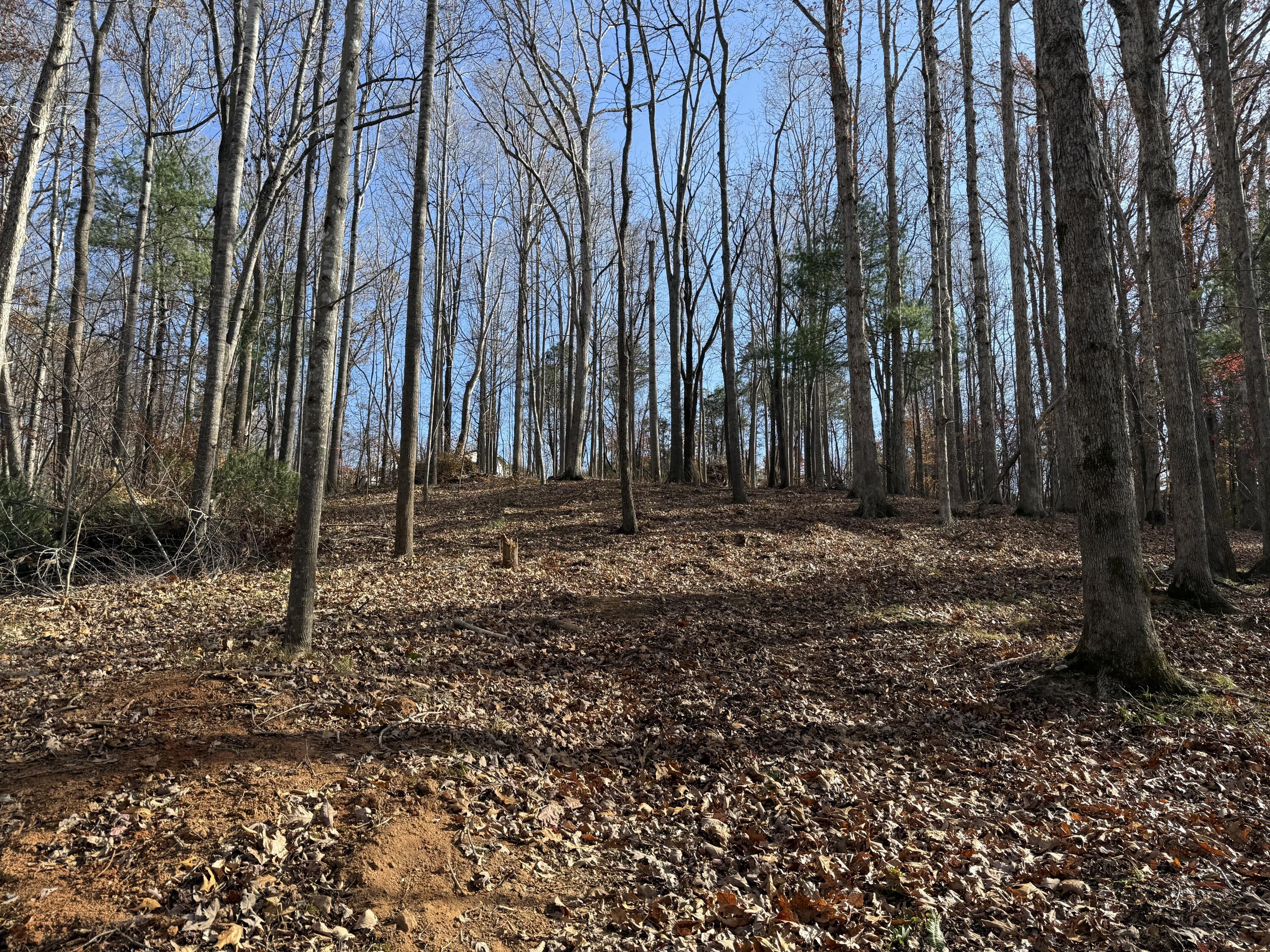 Lot 9 Tiki Terrace Goodview, VA 24095 - Photo 26 of 44 a view of outdoor space with trees