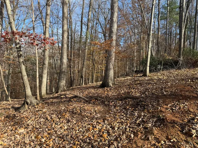 $150,000 | Lot 9 Tiki Terrace, Goodview, VA 24095