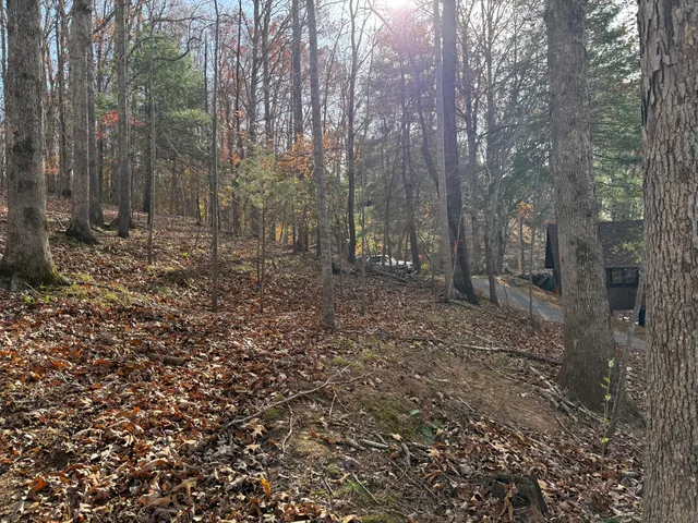 $150,000 | Lot 9 Tiki Terrace, Goodview, VA 24095