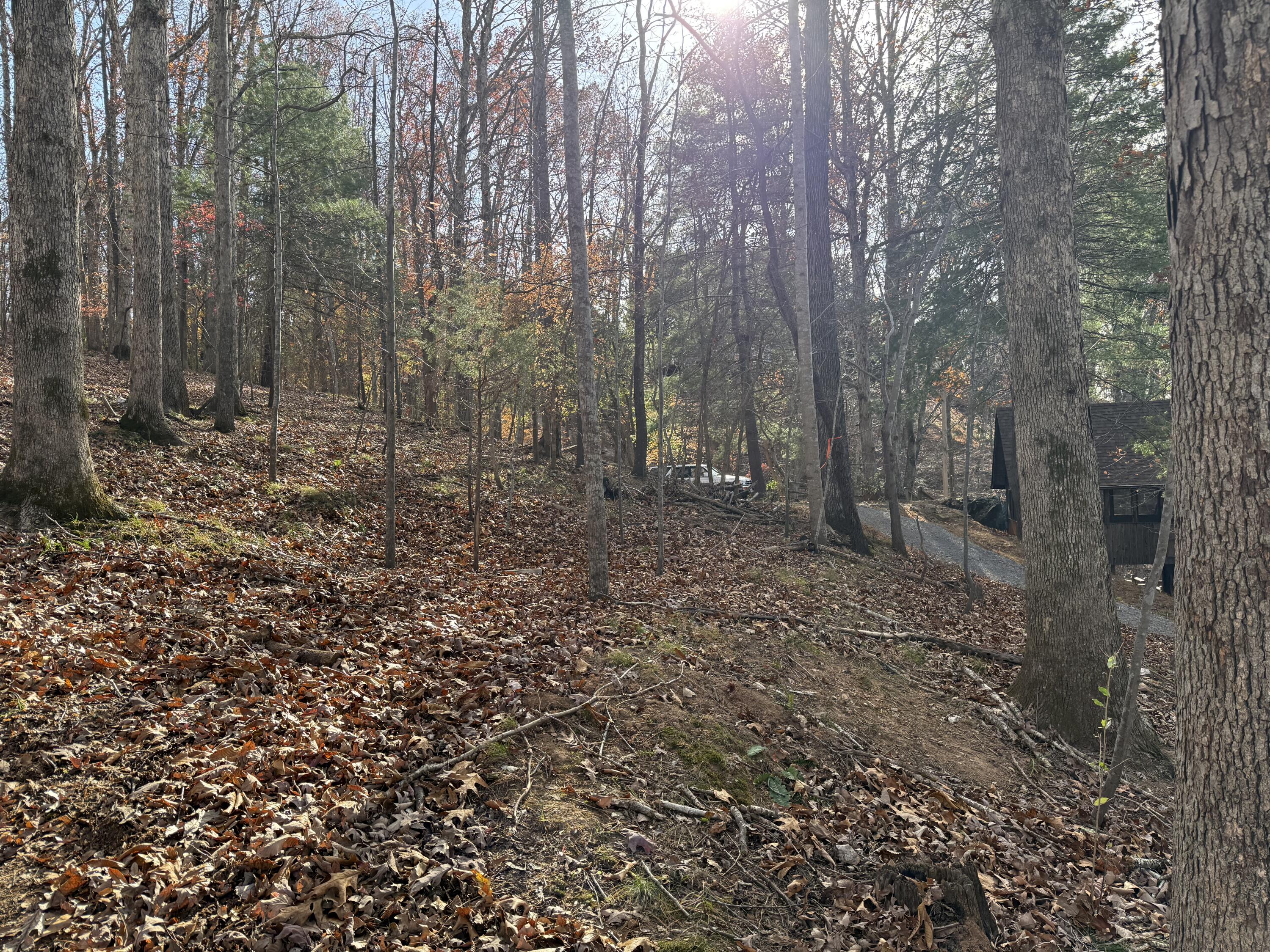 Lot 9 Tiki Terrace Goodview, VA 24095 - Photo 28 of 44 a view of a forest with trees in the background