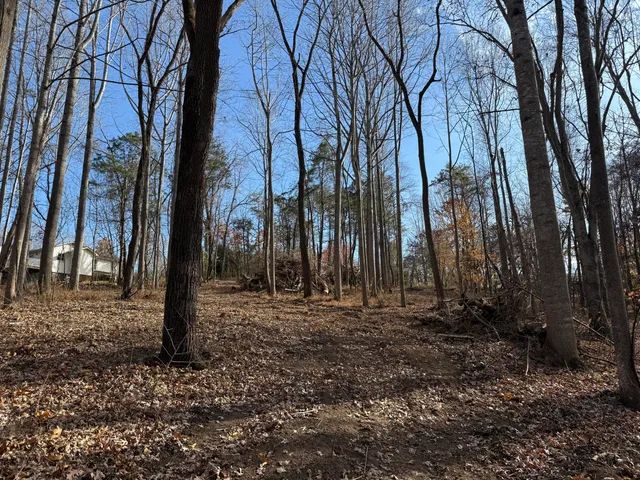 $150,000 | Lot 9 Tiki Terrace, Goodview, VA 24095