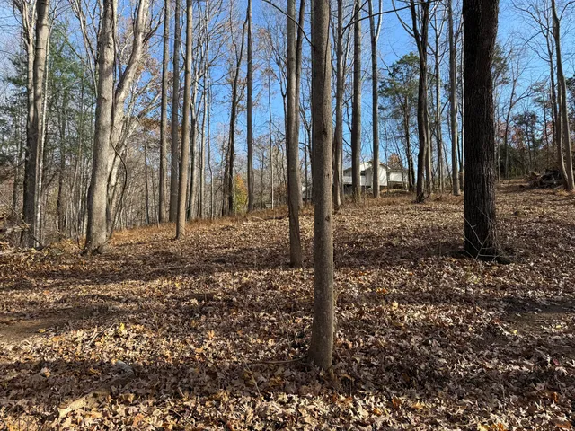 $150,000 | Lot 9 Tiki Terrace, Goodview, VA 24095