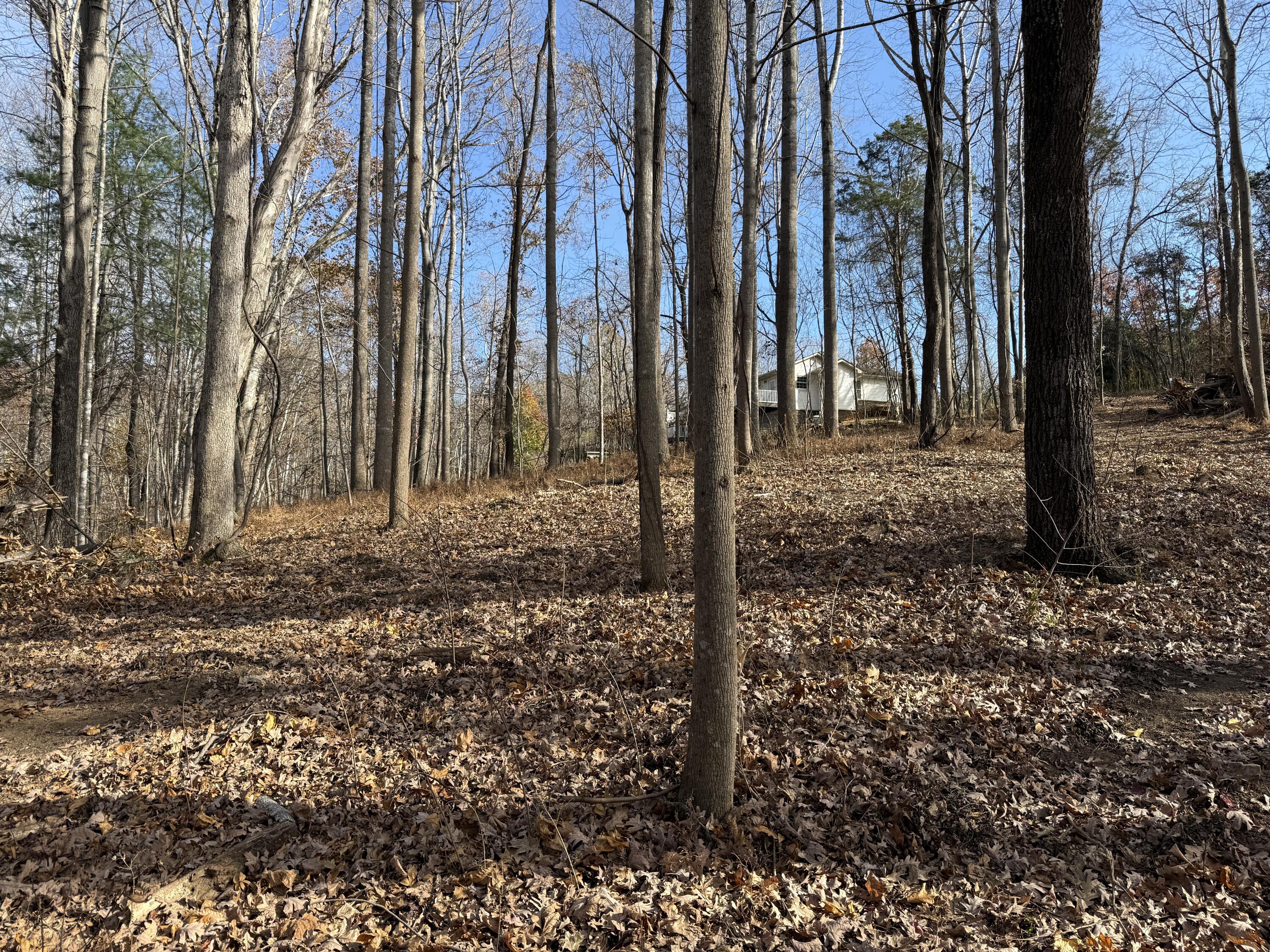 Lot 9 Tiki Terrace Goodview, VA 24095 - Photo 30 of 44 a backyard of a house with lots of green space