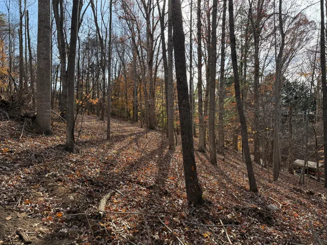 $150,000 | Lot 9 Tiki Terrace, Goodview, VA 24095