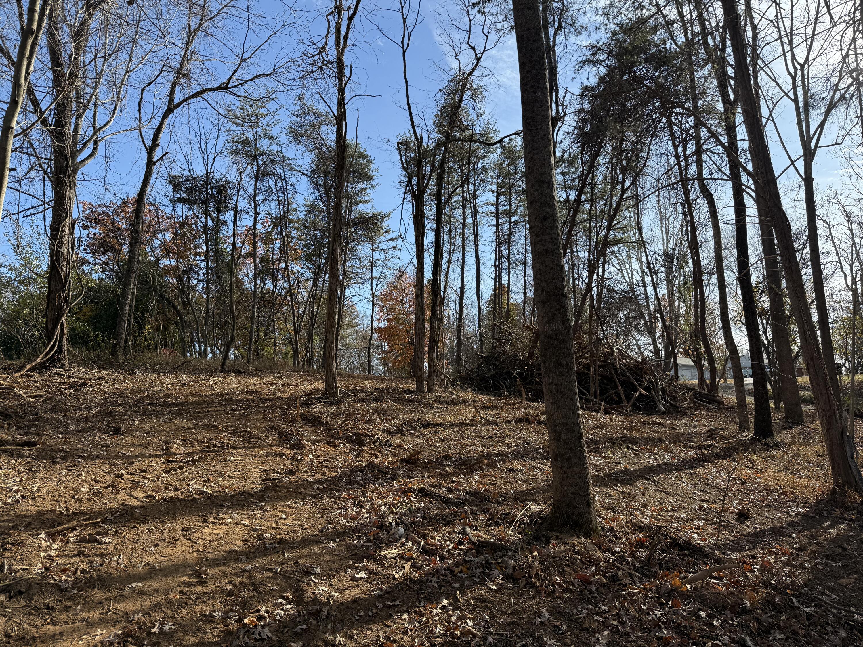 Lot 9 Tiki Terrace Goodview, VA 24095 - Photo 32 of 44 a view of a forest filled with trees