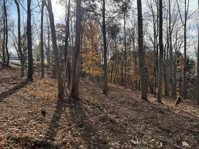 $150,000 | Lot 9 Tiki Terrace, Goodview, VA 24095