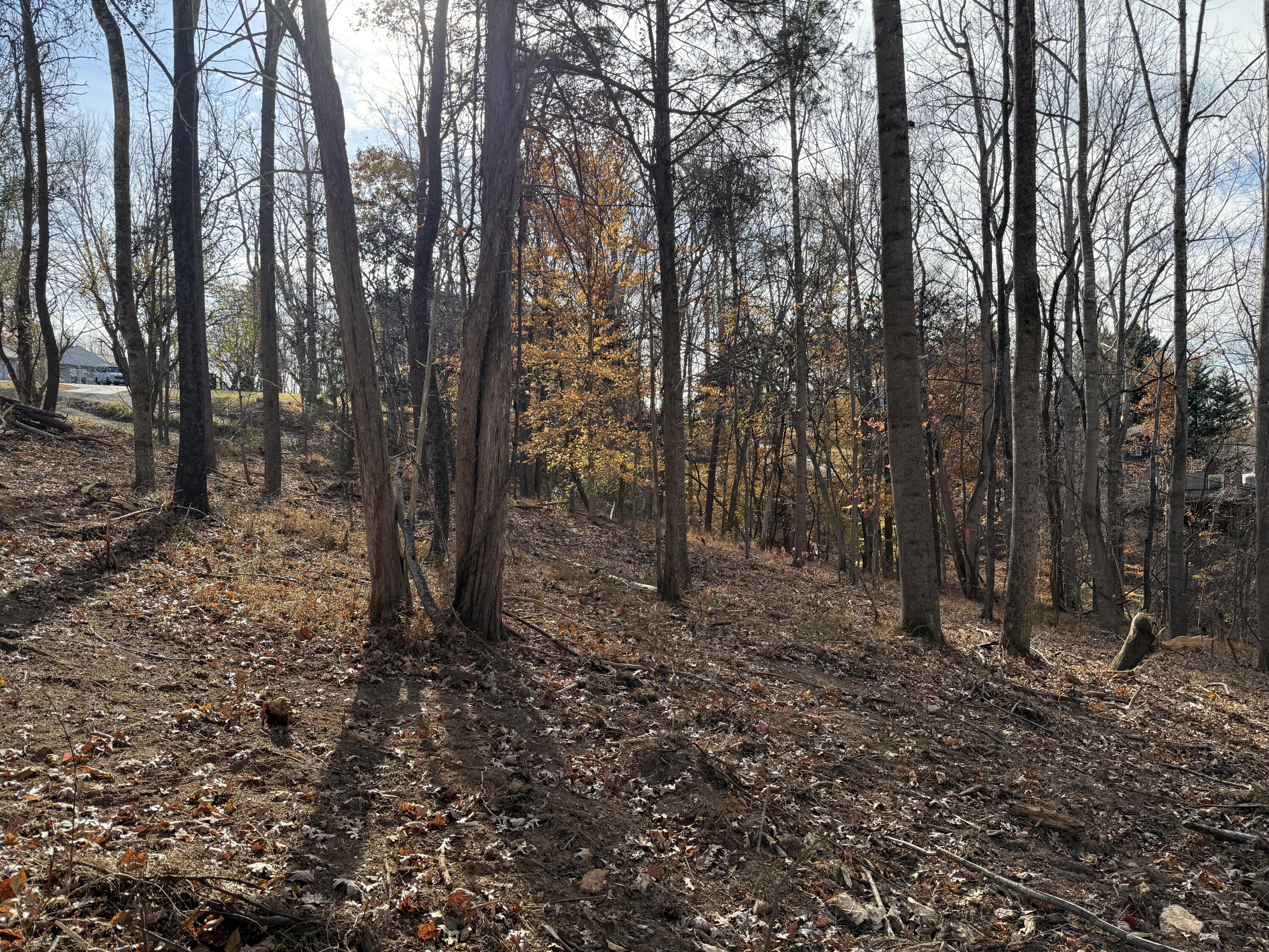 Lot 9 Tiki Terrace Goodview, VA 24095 - Photo 33 of 44 a view of a forest with trees in the background