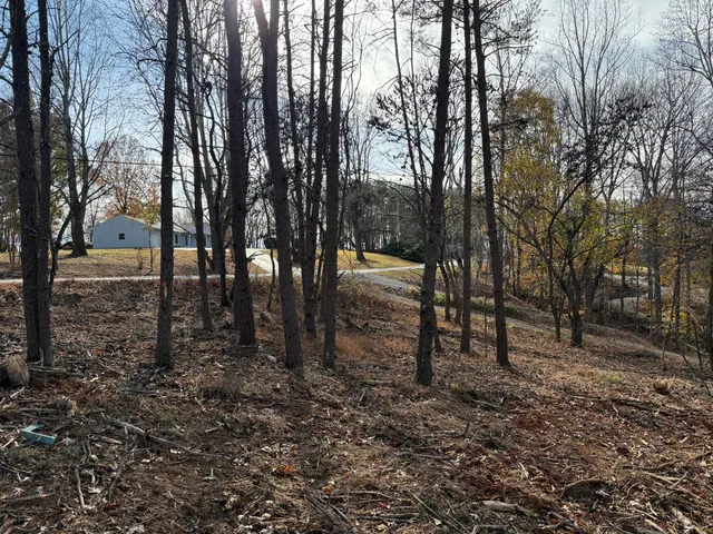 $150,000 | Lot 9 Tiki Terrace, Goodview, VA 24095