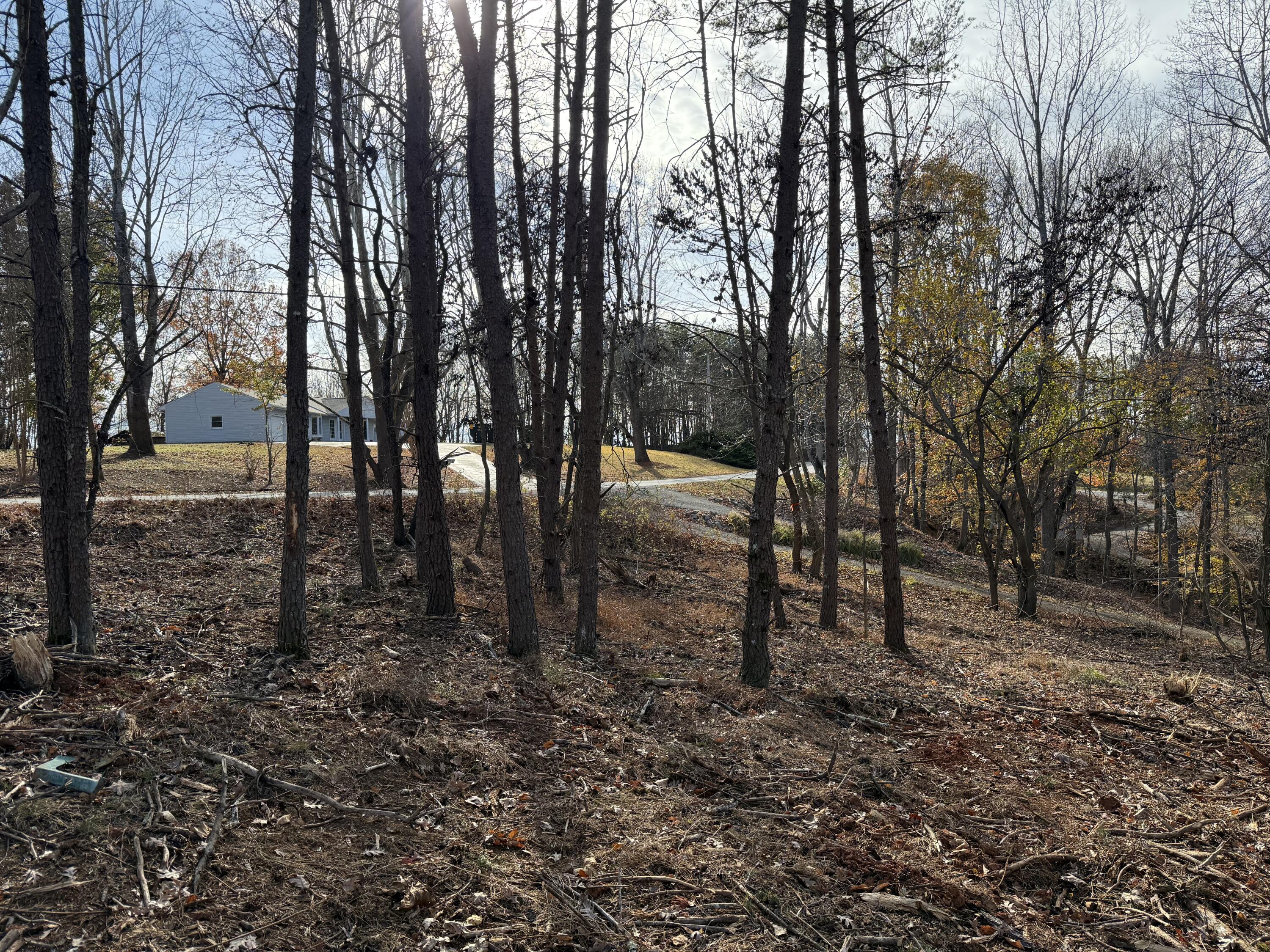 Lot 9 Tiki Terrace Goodview, VA 24095 - Photo 34 of 44 IMG_9650