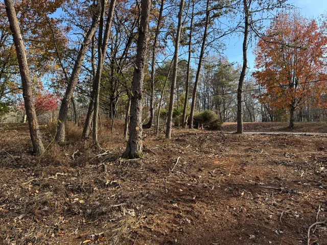 $150,000 | Lot 9 Tiki Terrace, Goodview, VA 24095