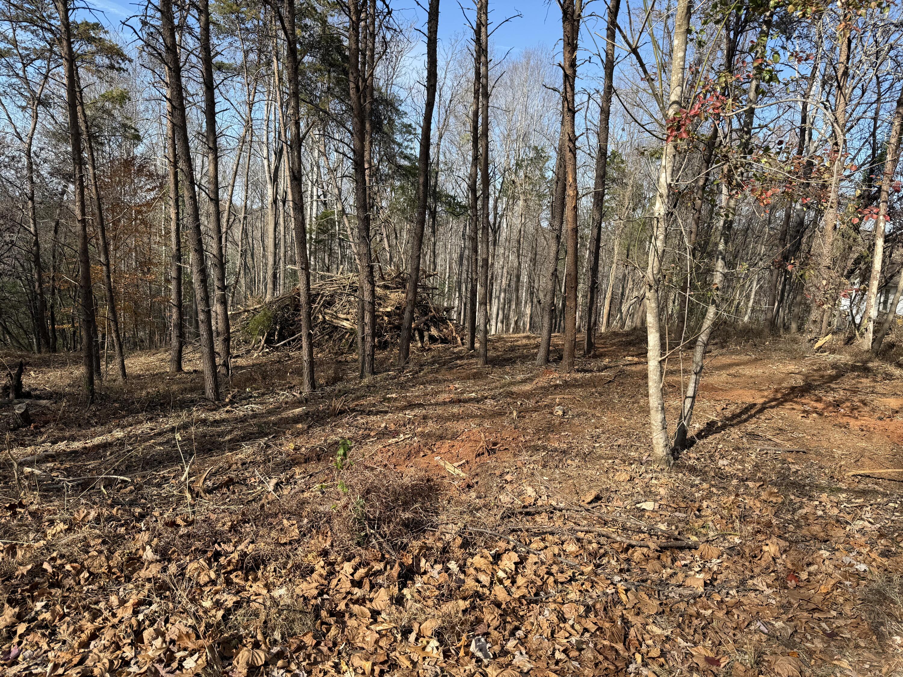 Lot 9 Tiki Terrace Goodview, VA 24095 - Photo 4 of 44 a backyard of a house with lots of green space