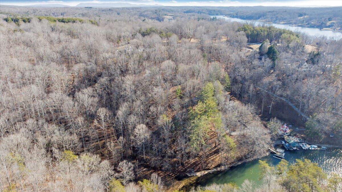 Lot 9 Tiki Terrace Goodview, VA 24095 - Photo 41 of 44 10-DJI_20260119143426_0012_D_MIB
