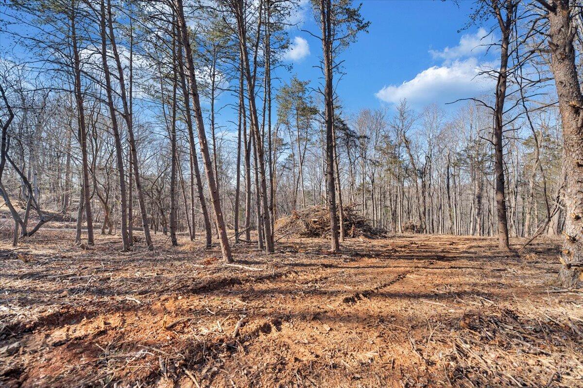 Lot 9 Tiki Terrace Goodview, VA 24095 - Photo 5 of 44 a view of dirt field with trees