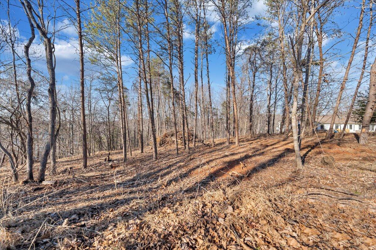 Lot 9 Tiki Terrace Goodview, VA 24095 - Photo 6 of 44 a view of a backyard of the house
