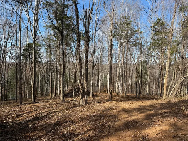 $150,000 | Lot 9 Tiki Terrace, Goodview, VA 24095