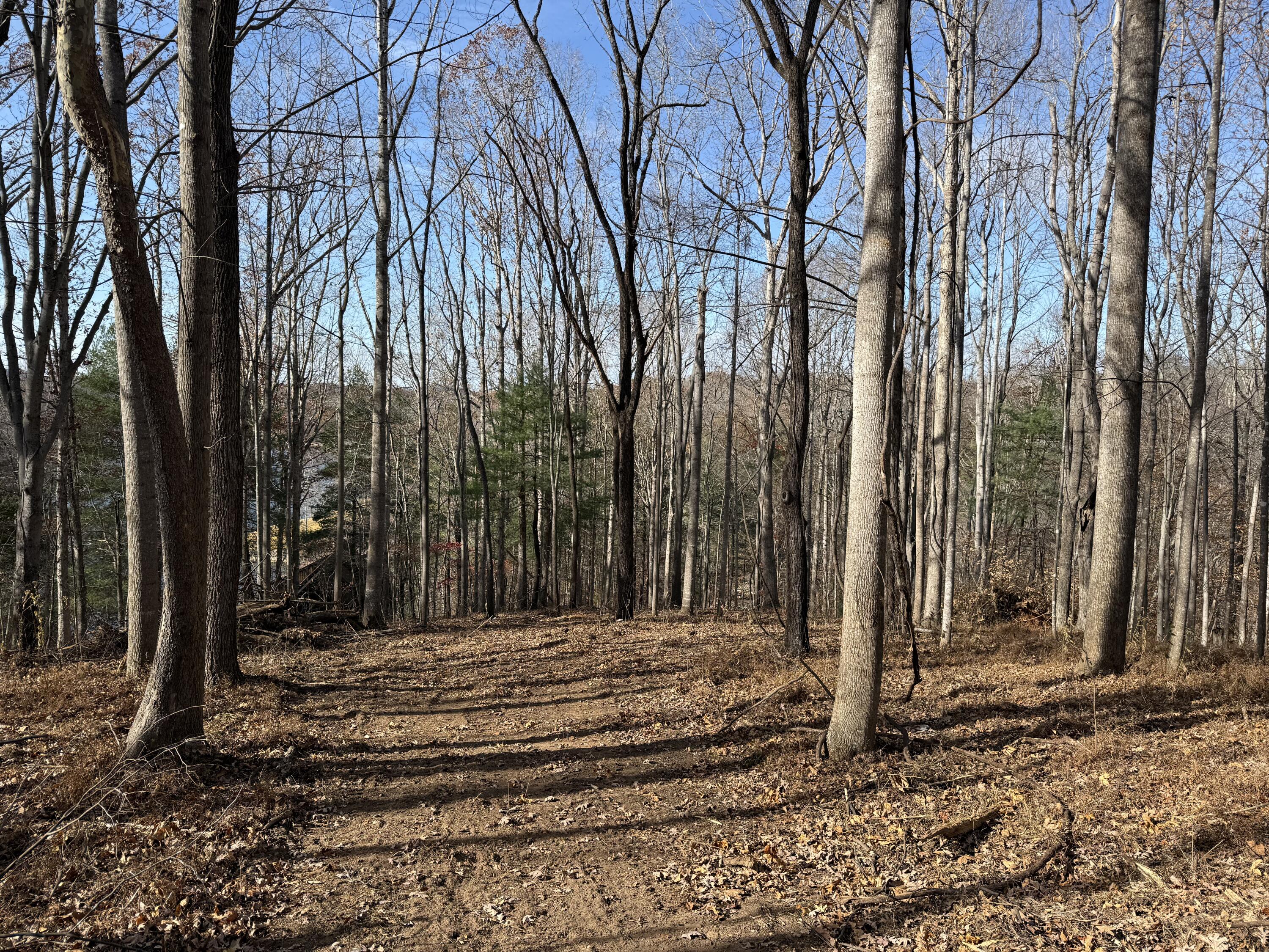 Lot 9 Tiki Terrace Goodview, VA 24095 - Photo 10 of 44 IMG_9613