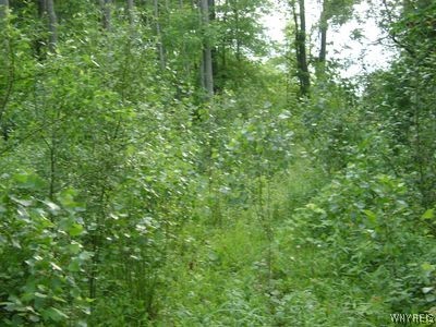 0 Creek Road Lewiston, NY 14092 - Photo 1 of 1 Gallery Image 1
