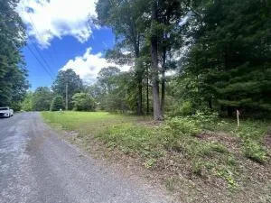 a view of outdoor space and tree