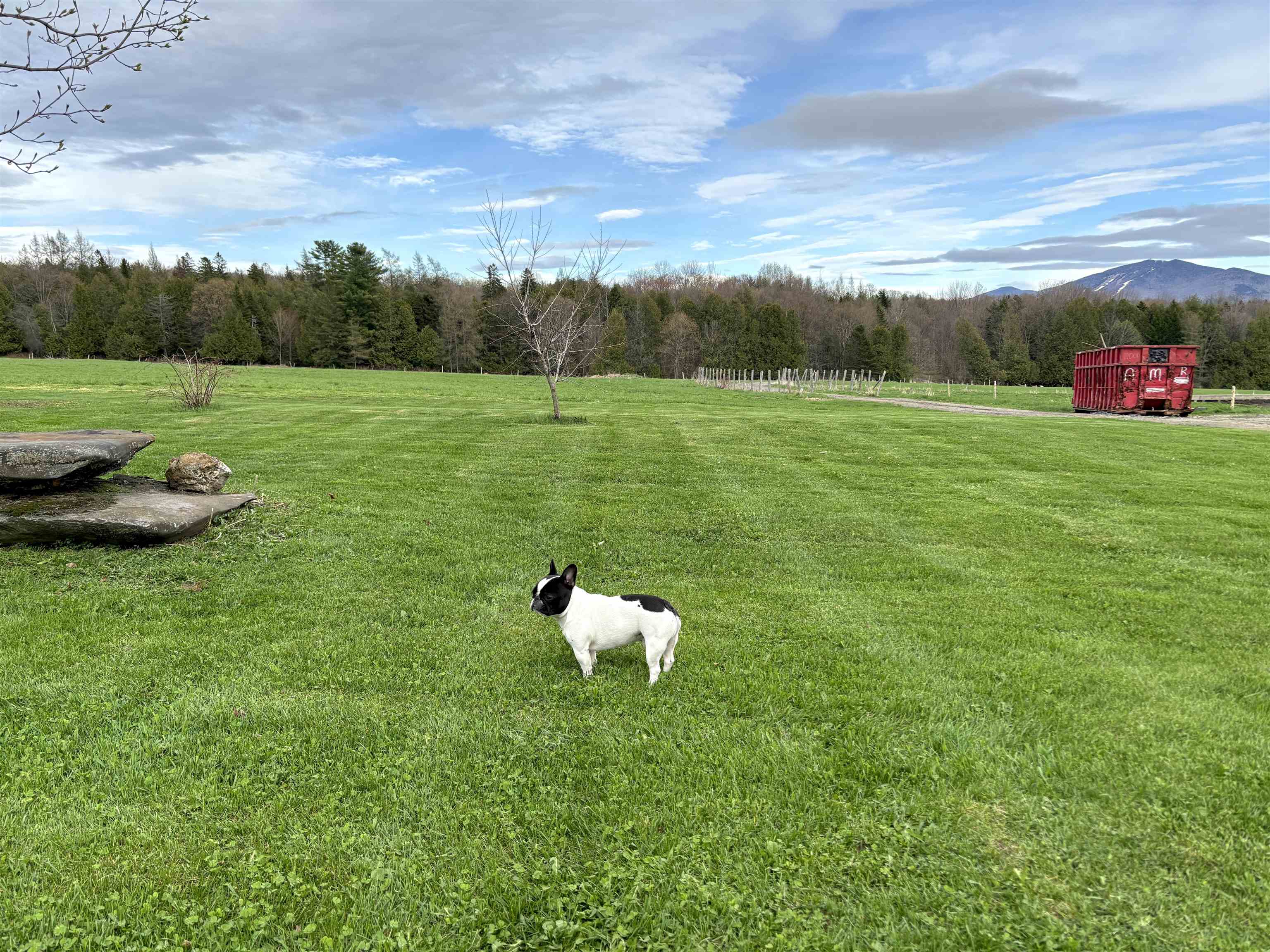 743 Simpson Hill Sutton, VT 05867 - Photo 28 of 37