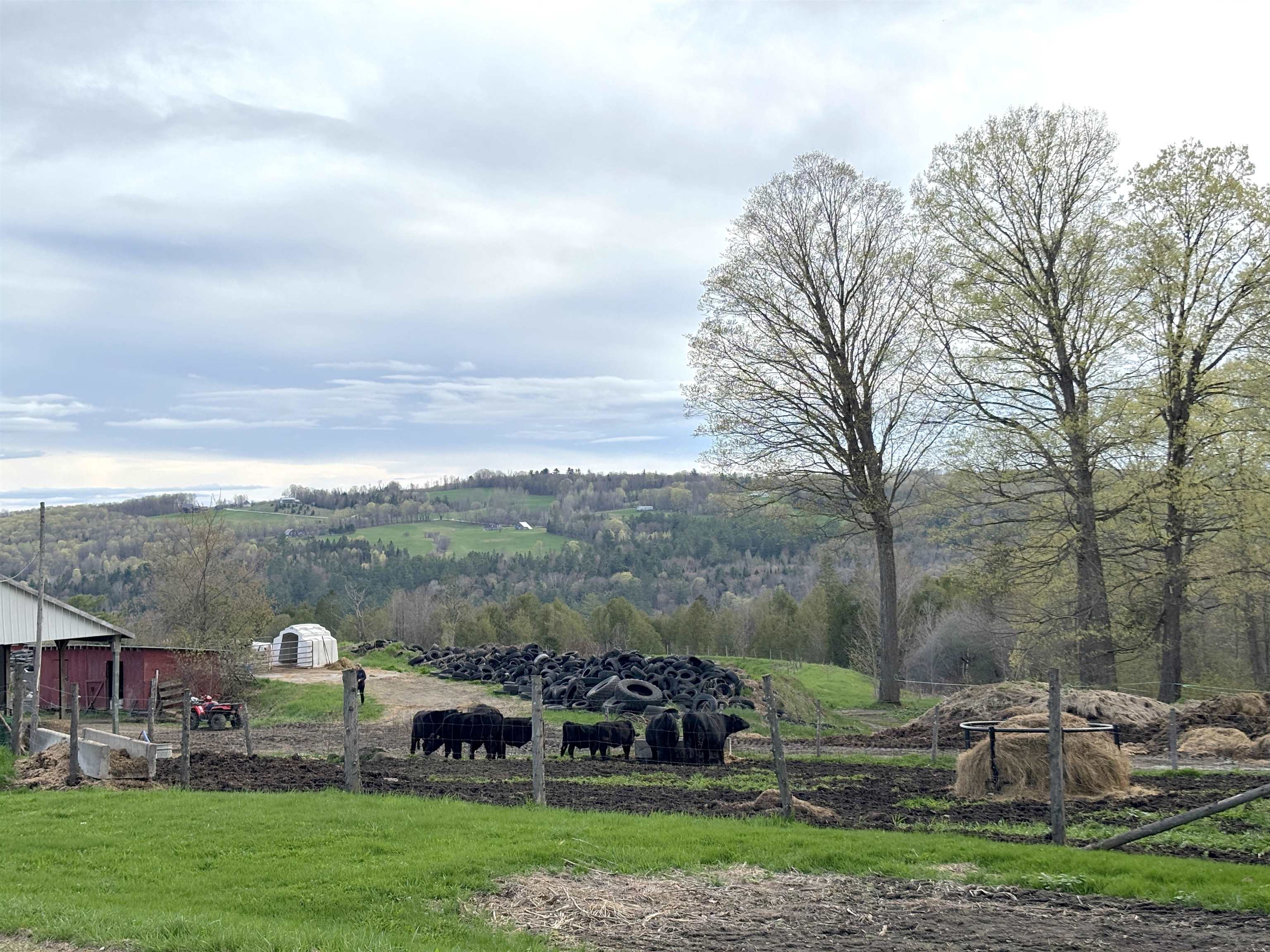 743 Simpson Hill Sutton, VT 05867 - Photo 32 of 37