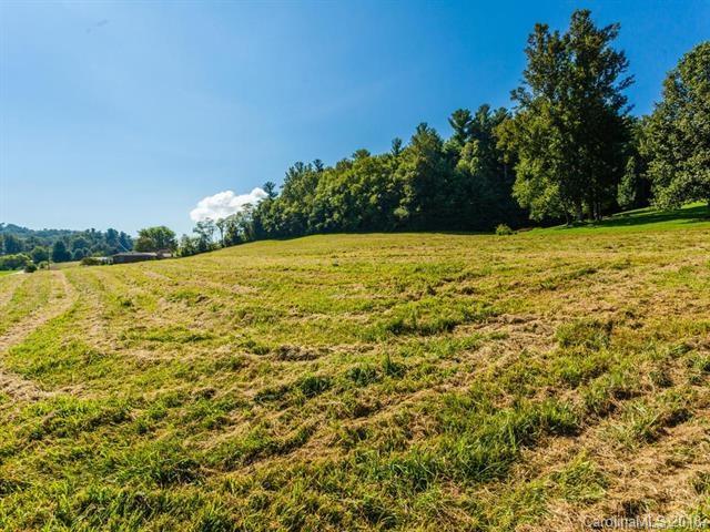0 Apple Valley Road Hendersonville, NC 28792 - Photo 1 of 7 Gallery Image 1