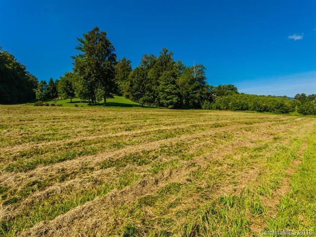 0 Apple Valley Road Hendersonville, NC 28792 - Photo 2 of 7 Gallery Image 2