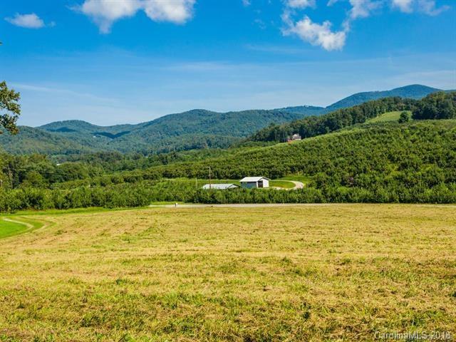 0 Apple Valley Road Hendersonville, NC 28792 - Photo 5 of 7 Gallery Image 5
