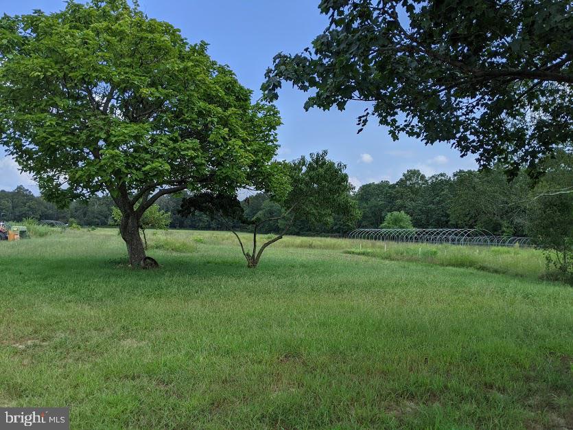 210 Fork Bridge Road Elmer, NJ 08318 - Photo 9 of 13 Gallery Image 9