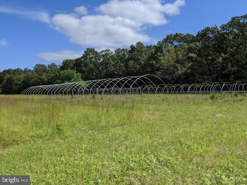 210 Fork Bridge Road Elmer, NJ 08318 - Photo 10 of 13 Gallery Image 10