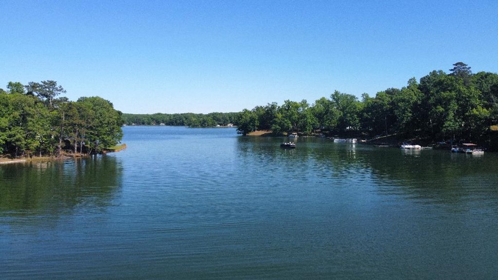0 Lake Secession Road Iva, SC 29655 - Photo 2 of 5