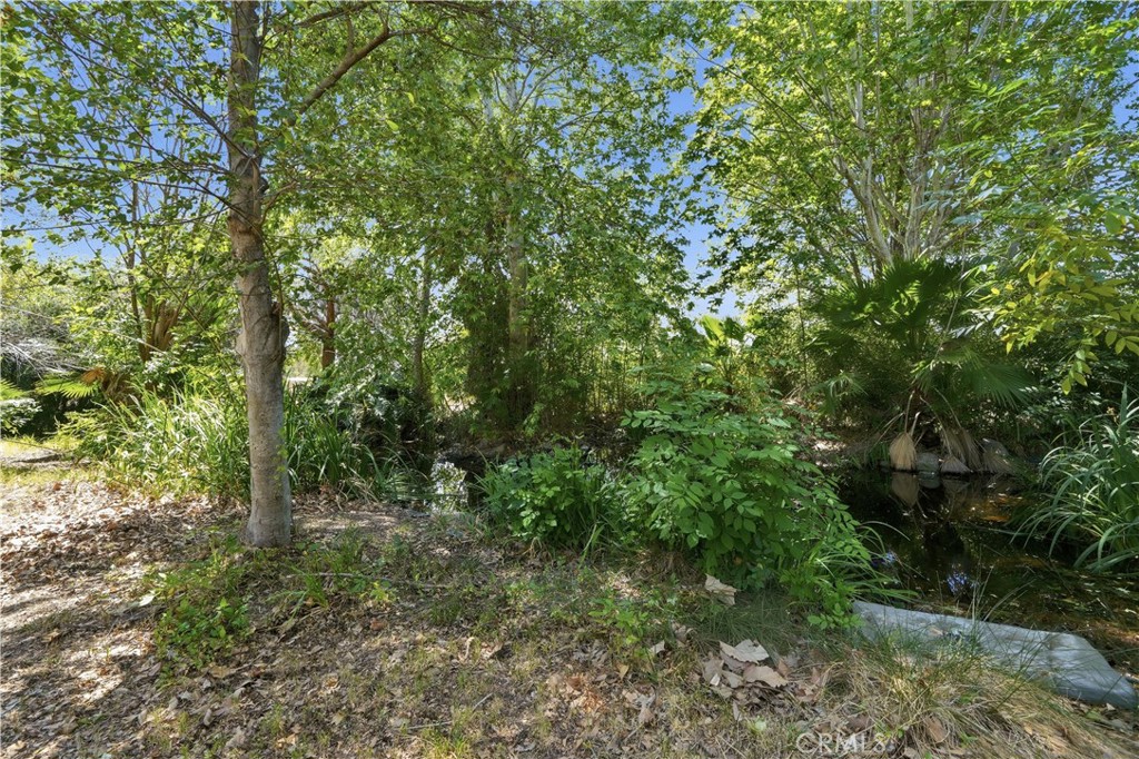 32245 Refa Street Wildomar, CA 92595 - Photo 45 of 69 a view of a forest with lush green forest