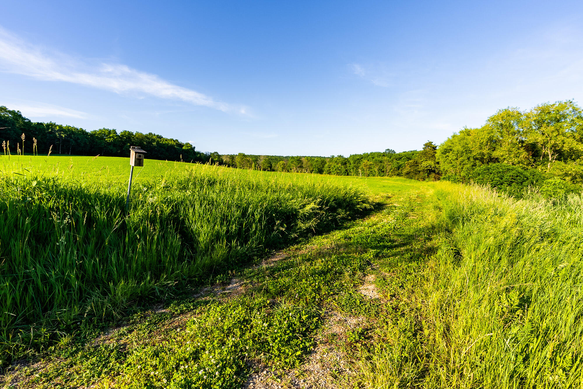 Lt0 Denzer Road North Freedom, WI 53951 - Photo 34 of 68 Sauk-County-WI-54-Acres-Land-For-Sale-34