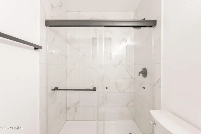 a bathroom with a shower and a toilet