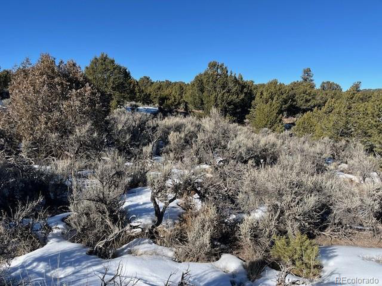 7860 Platten Road Fort Garland, CO 81133 - Photo 11 of 27 a view of a city with lush green forest