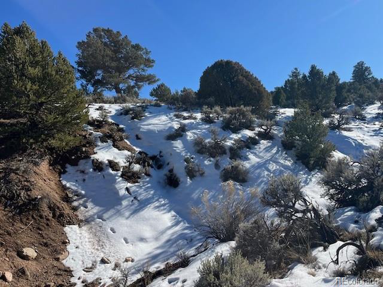 7860 Platten Road Fort Garland, CO 81133 - Photo 24 of 27 a view of outside area