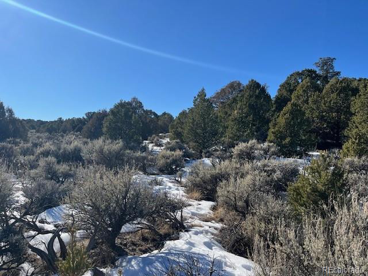 7860 Platten Road Fort Garland, CO 81133 - Photo 25 of 27 a view of a city with lush green forest