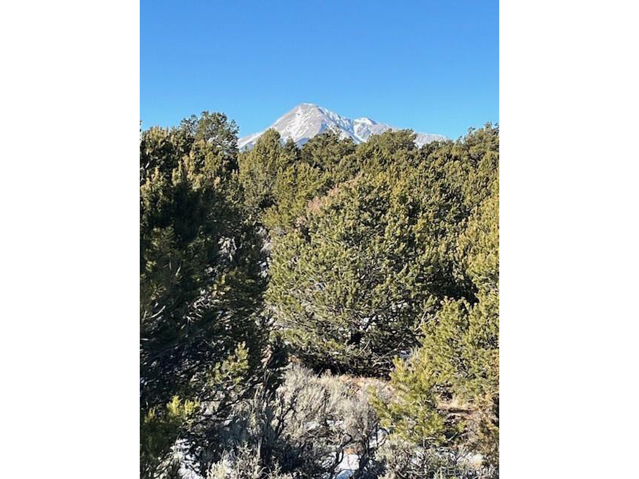7860 Platten Road Fort Garland, CO 81133 - Photo 9 of 27 a view of a bunch of flowers