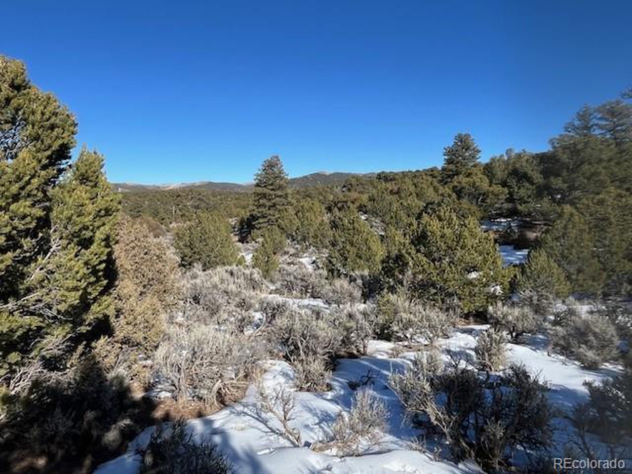 7860 Platten Road Fort Garland, CO 81133 - Photo 10 of 27