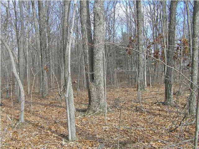 16 Wolf Pen Road Dunlap, TN 37327 - Photo 8 of 8 Additional Photo