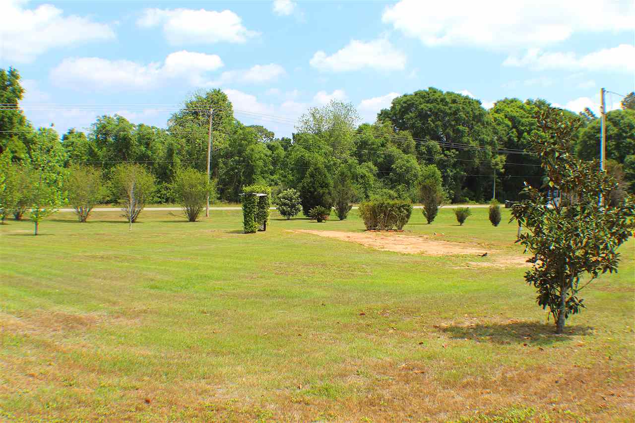 26930 Forest View Road Robertsdale, AL 36567 - Photo 2 of 6