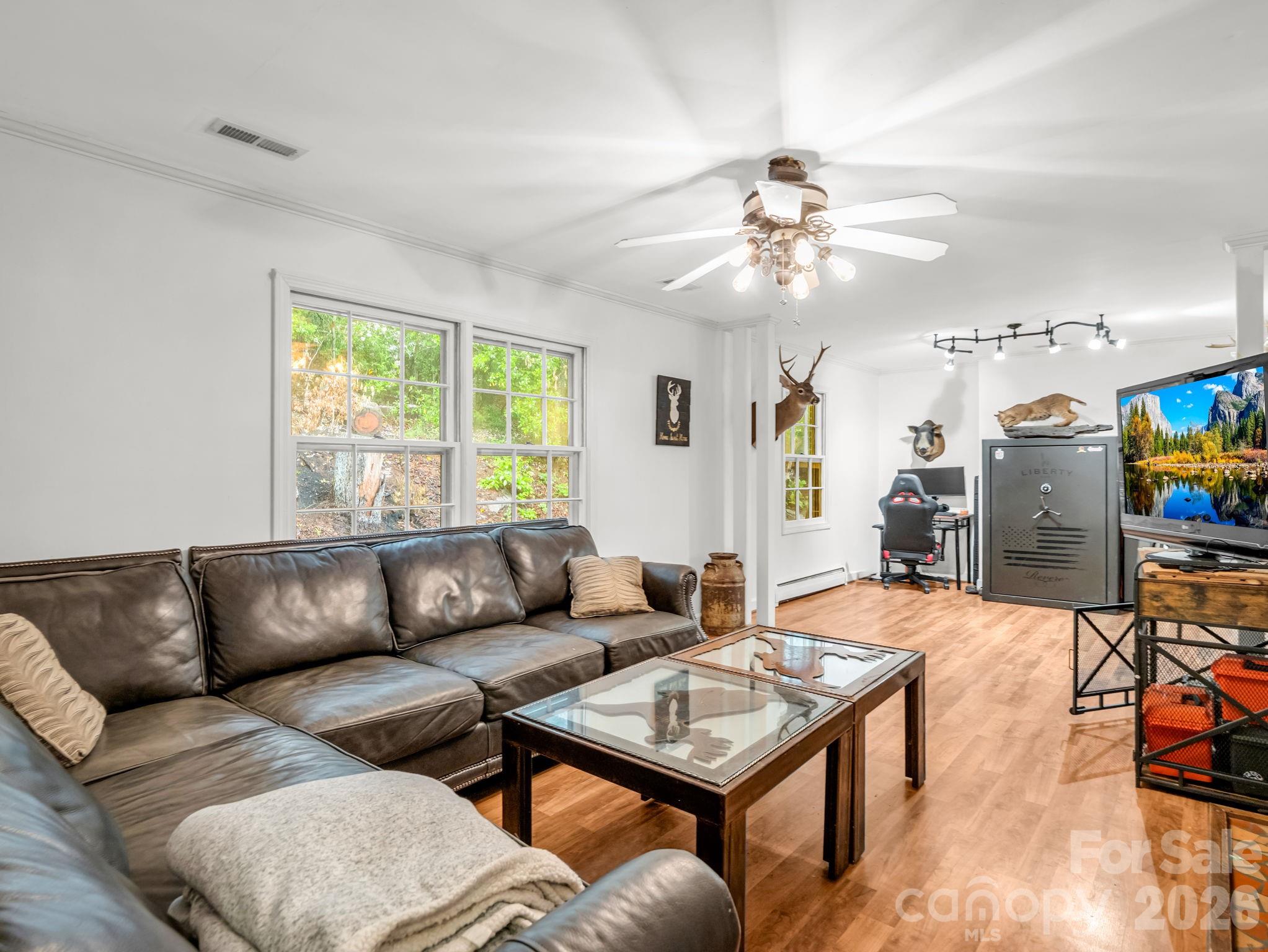 679 Solomon Jones Road Cedar Mountain, NC 28718 - Photo 11 of 38