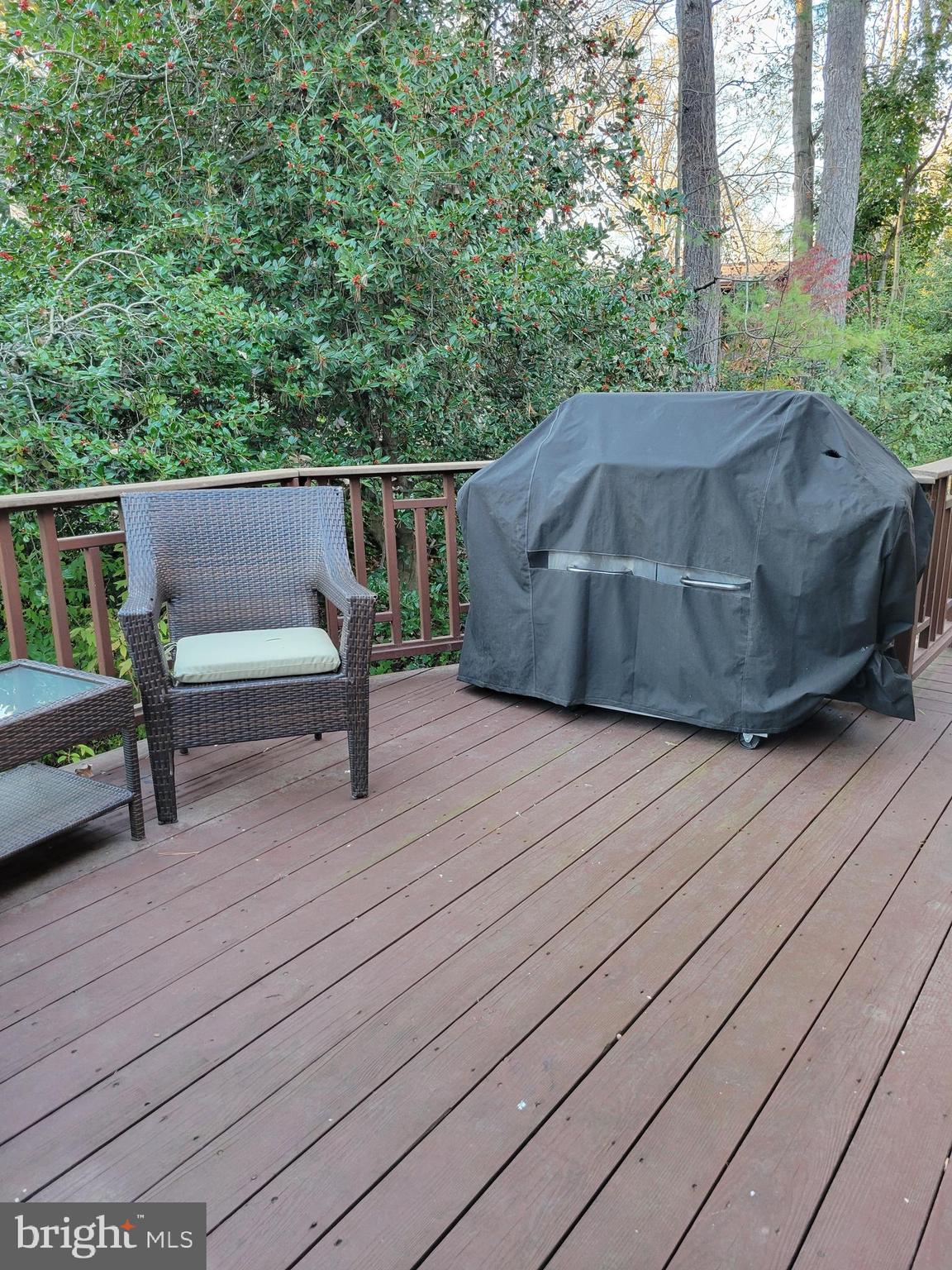 3114 Cunningham Drive Alexandria, VA 22309 - Photo 19 of 39 Deck off the kitchen, perfect for grilling!