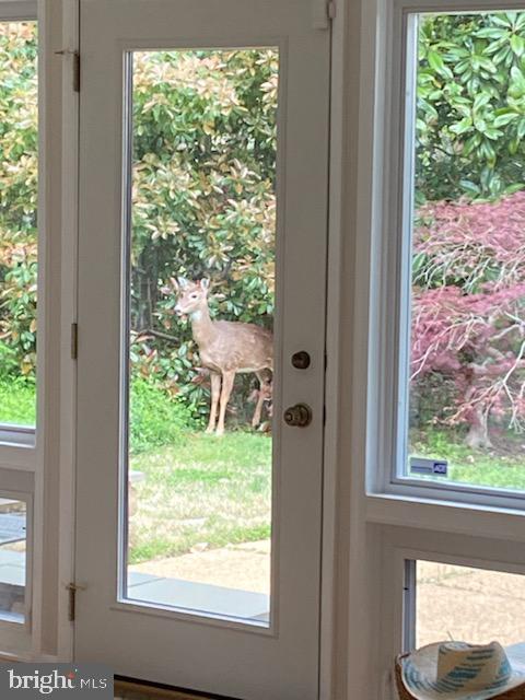 3114 Cunningham Drive Alexandria, VA 22309 - Photo 27 of 39 You will be surrounded by nature