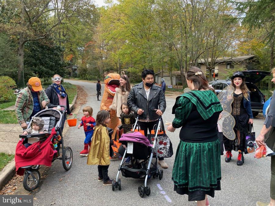 3114 Cunningham Drive Alexandria, VA 22309 - Photo 29 of 39 Numerous community events