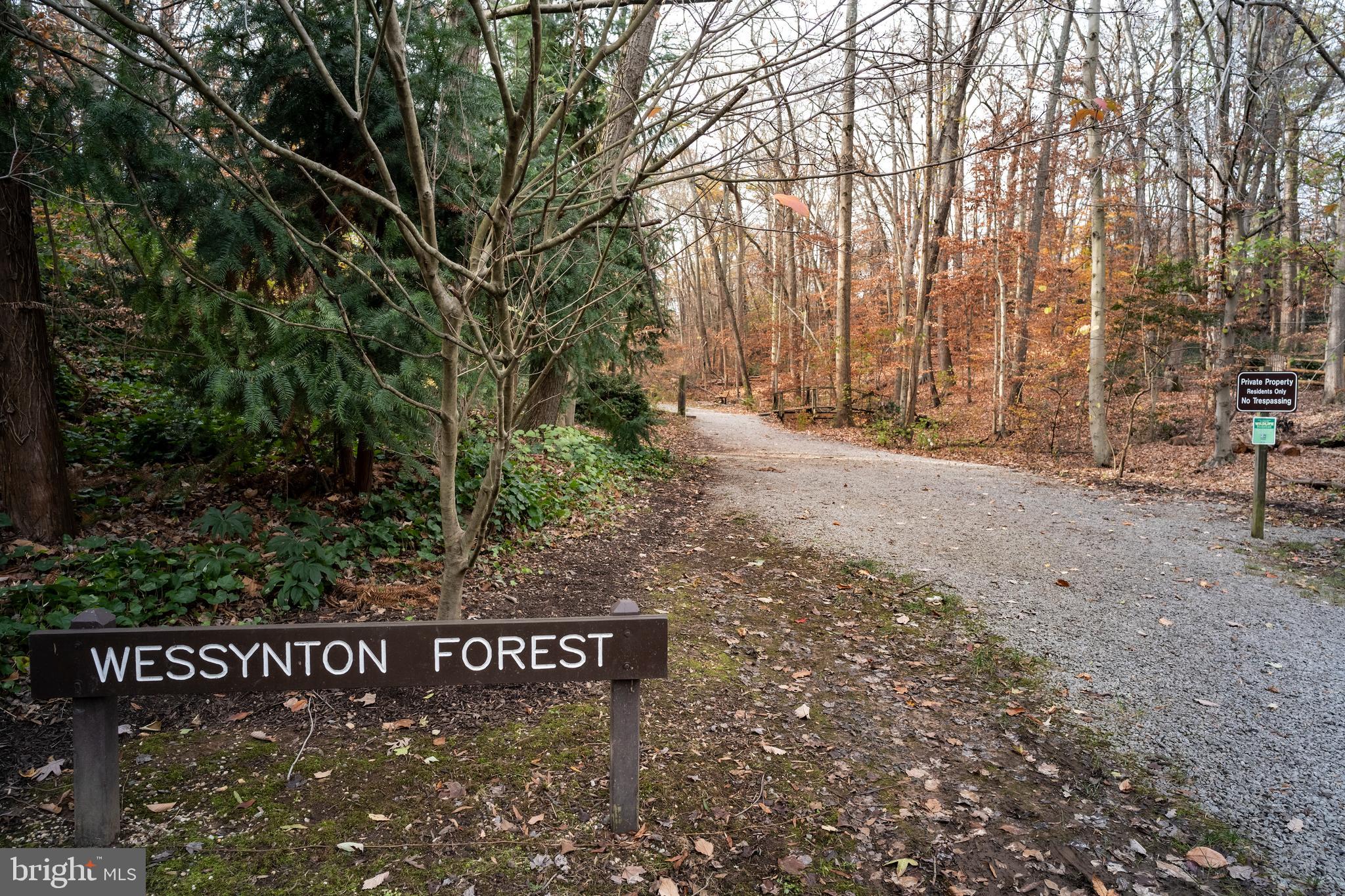 3114 Cunningham Drive Alexandria, VA 22309 - Photo 33 of 39 The 20-acre forest
