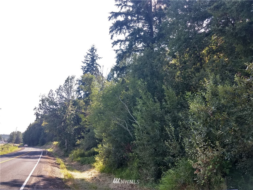 0 Hining Road Winlock, WA 98596 - Photo 2 of 3