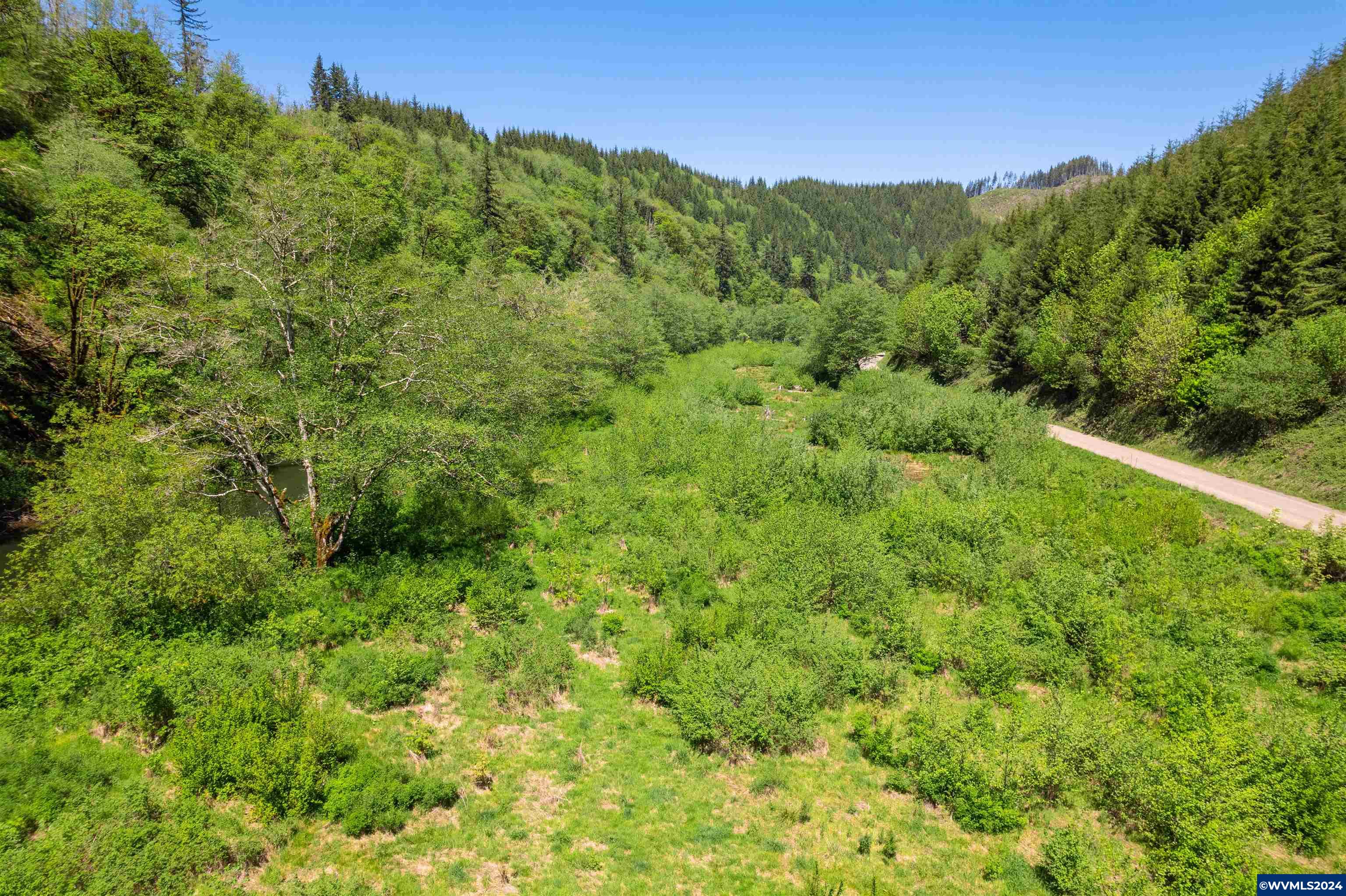 0 Harlan Road Toledo, OR 97391 - Photo 6 of 27
