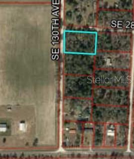 Tbd Northeast 130th Court Morriston, FL 32668 - Photo 1 of 1
